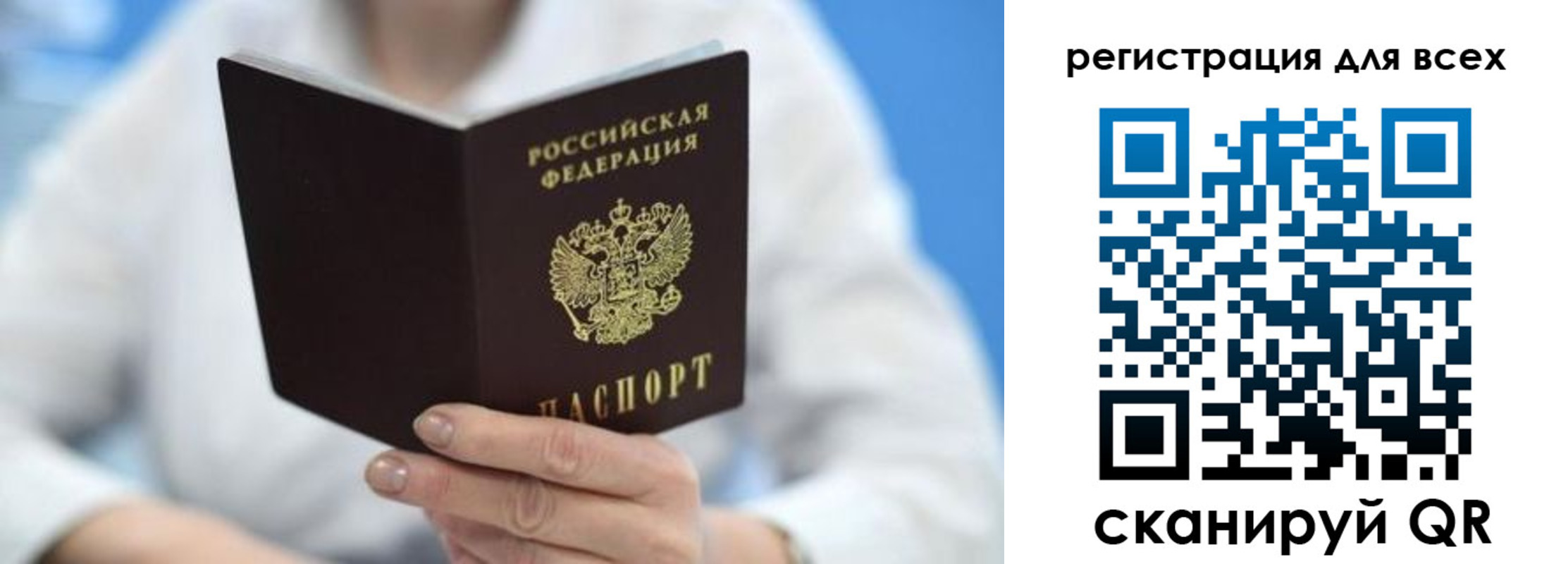 прописка гарантия в Апатитах